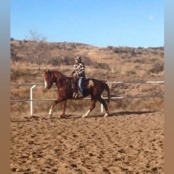 Meet your Posher, Natasha - Picture 2 of 2